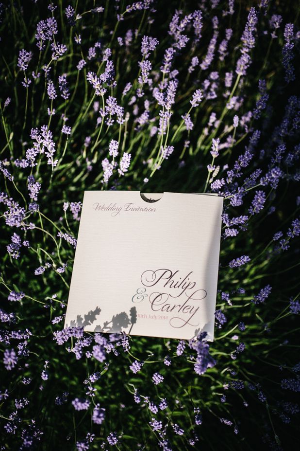 Carley & Phil’s Pre Wedding Shoot at the Cotswold Lavender Fields